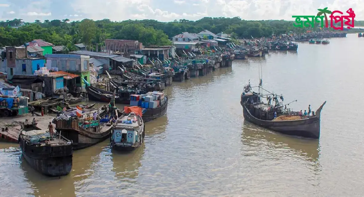 আলীপুর মাছ বাজার কিভাবে যাবেন, থাকা-খাওয়ার সকল খরচ