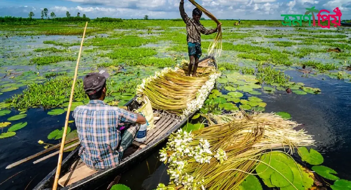 আড়িয়াল বিল কিভাবে যাবেন, থাকা-খাওয়ার খরচ - ভ্রমণপ্রিয়