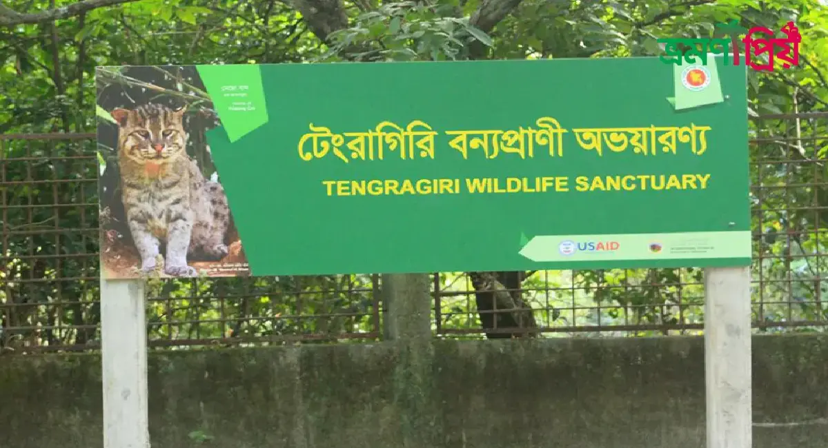 টেংরাগিরি ইকোপার্ক কিভাবে যাবেন, আসা-যাওয়ার সকল খরচ
