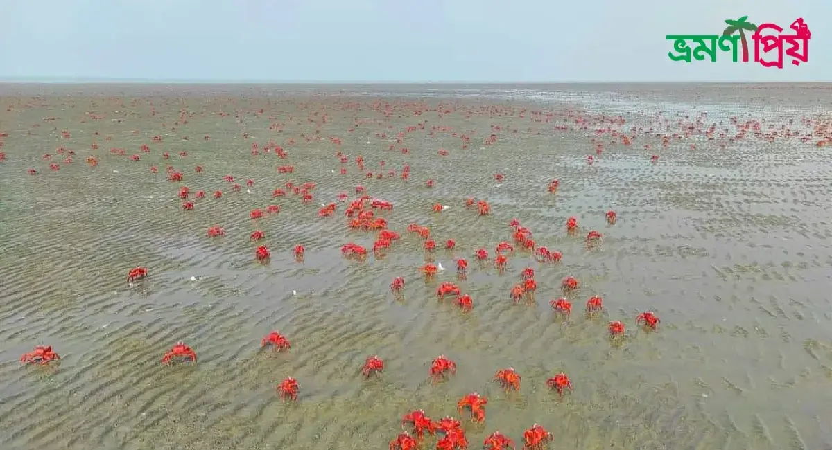 চর বিজয় কিভাবে যাবেন, থাকা-খাওয়ার সকল খরচ - ভ্রমণপ্রিয়
