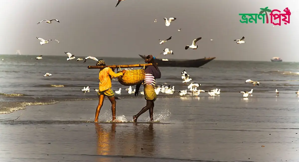 দুবলার চর কিভাবে যাবেন, আসা-যাওয়ার সকল খরচ- ভ্রমণপ্রিয়