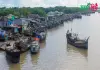 আলীপুর মাছ বাজার