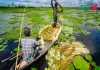 আড়িয়াল বিল
