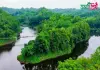 বাঁশখালী ইকোপার্ক