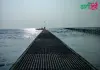বাঁশবাড়িয়া সমুদ্র সৈকত