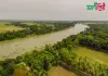 বিল রুট ক্যানেল
