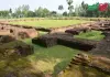 বিহার ধাপ