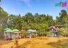 বনরাণী ফরেষ্ট রিসোর্ট