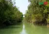 চর কুকরি মুকরি