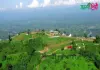 চিম্বুক