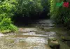 চুনতি বন্যপ্রাণী অভয়ারণ্য