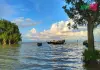 ডিঙ্গাপোতা হাওর