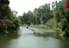 ফয়েজ লেক
