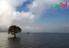 অষ্টগ্রাম হাওর