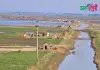 বালিখলা