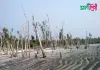 কটকা সমুদ্র সৈকত
