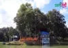 লেক ভিউ আইল্যান্ড