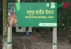 মধুপুর জাতীয় উদ্যান