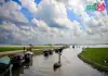 চলন বিল