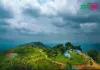 নিউজিল্যান্ড পাড়া