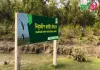নিঝুম দ্বীপ