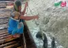 ভোঁদড় দিয়ে মাছ শিকার