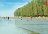 পারকি সমুদ্র সৈকত