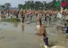 পলো বাইছ উৎসব