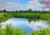 শমসের গাজীর দিঘী