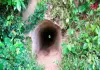 শমসের গাজীর সুড়ঙ্গ পথ