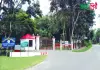 চা জাদুঘর