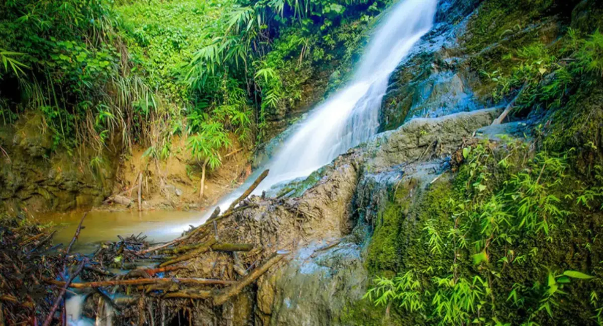 হিমছড়ি কিভাবে যাবেন, আসা-যাওয়ার সকল খরচ - ভ্রমণপ্রিয়