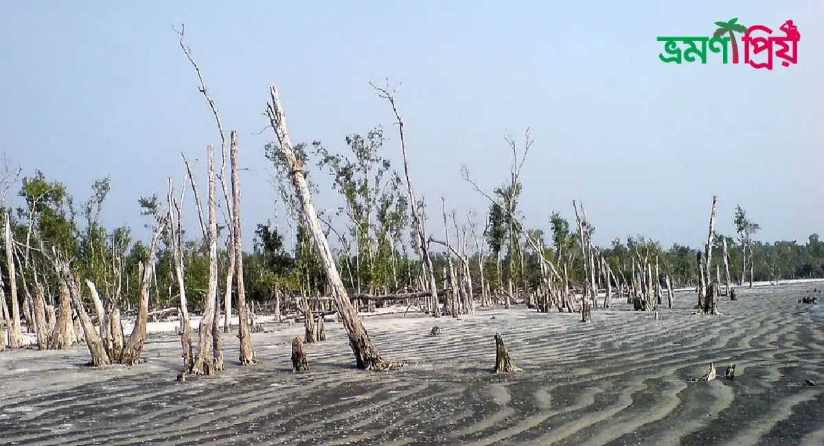 কটকা সমুদ্র সৈকত কিভাবে যাবেন, আসা-যাওয়ার সকল খরচ-ভ্রমণপ্রিয়