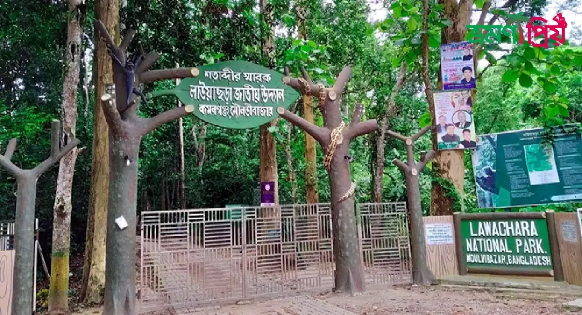লাউয়াছড়া জাতীয় উদ্যান কিভাবে যাবেন, আসা-যাওয়ার সকল খরচ