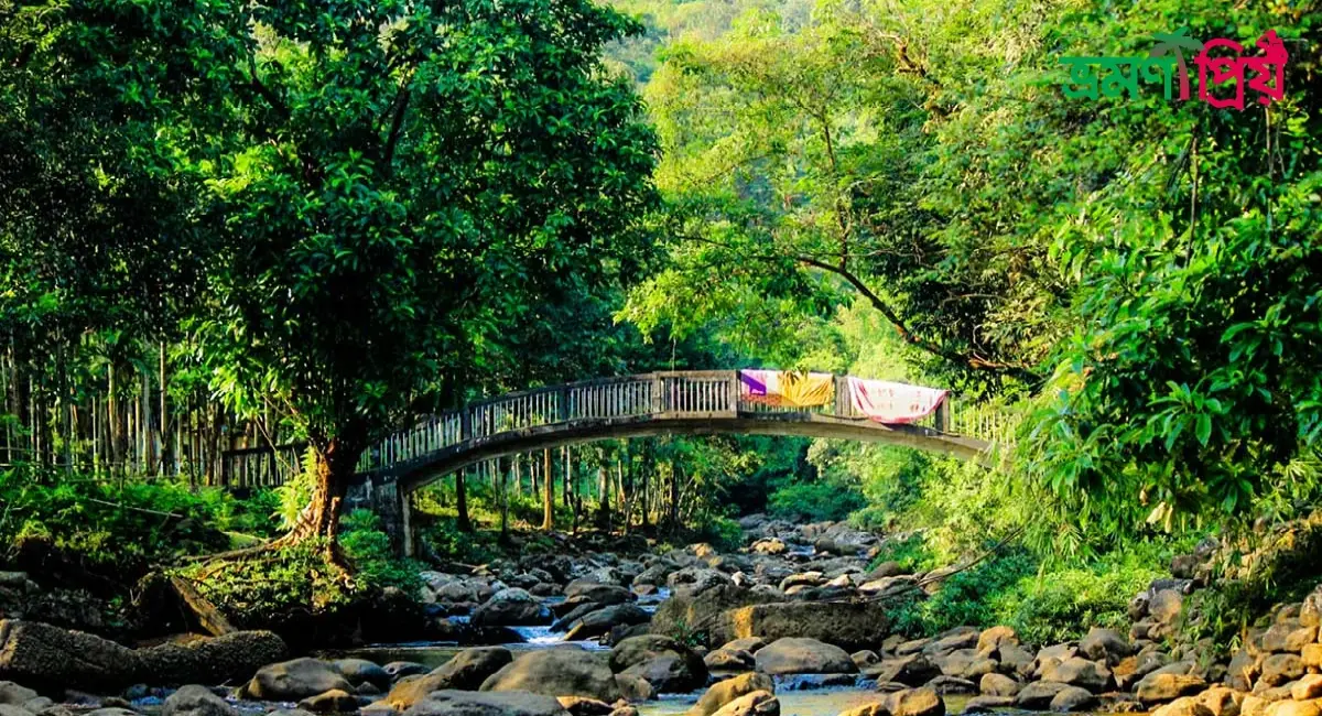 লক্ষনছড়া কিভাবে যাবেন, আসা-যাওয়ার সকল খরচ - ভ্রমণপ্রিয়