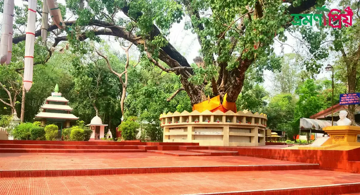 মহামুনি বৌদ্ধ বিহার কিভাবে যাবেন, আসা-যাওয়ার সকল খরচ