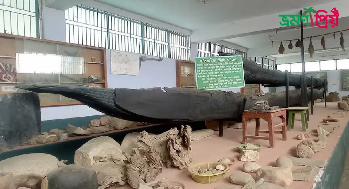 রকস মিউজিয়াম কিভাবে যাবেন, আসা-যাওয়ার সকল খরচ- ভ্রমণপ্রিয়