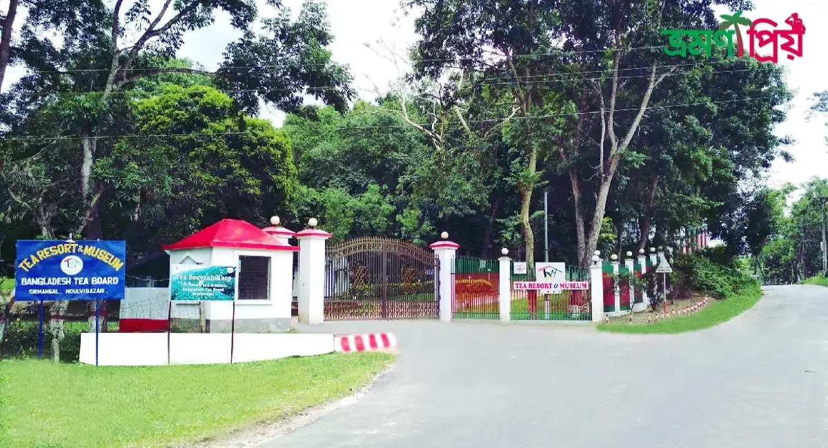 চা জাদুঘর কিভাবে যাবেন, আসা-যাওয়ার সকল খরচ - ভ্রমণপ্রিয়