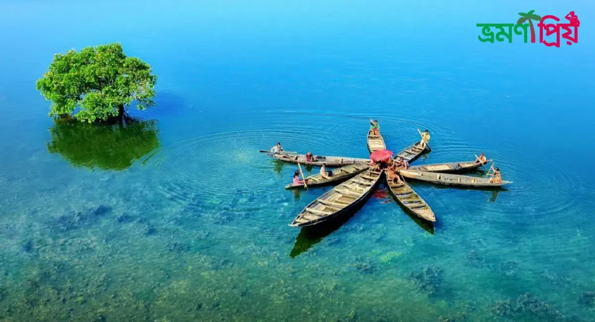 টাঙ্গুয়ার হাওর কিভাবে যাবেন, আসা-যাওয়ার সকল খরচ - ভ্রমণপ্রিয়