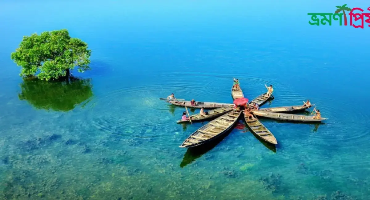 কিভাবে টাঙ্গুয়ার হাওর ট্যুর প্ল্যান করবেন