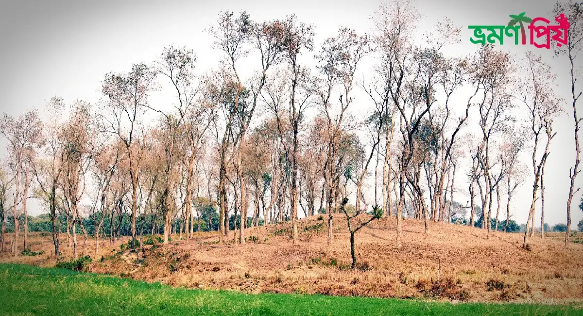 বাবুডাইং কিভাবে যাবেন, আসা-যাওয়ার সকল খরচ- ভ্রমণপ্রিয়