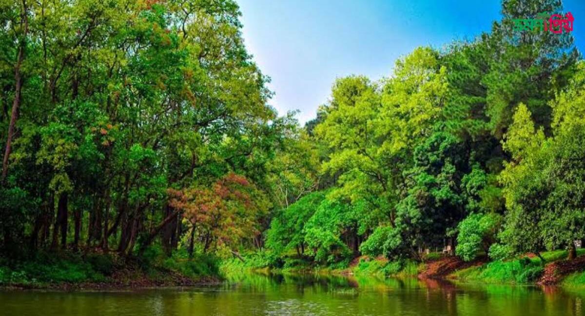 ভাওয়াল জাতীয় উদ্যান কিভাবে যাবেন, কোথায় খাবেন, থাকার জাইগা