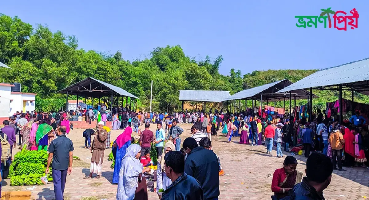 বর্ডার হাট, কসবা কিভাবে যাবেন, আসা-যাওয়ার সকল খরচ
