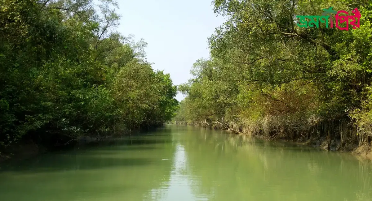 চর কুকরি মুকরি কিভাবে যাবেন, আসা-যাওয়ার সকল খরচ- ভ্রমণপ্রিয়