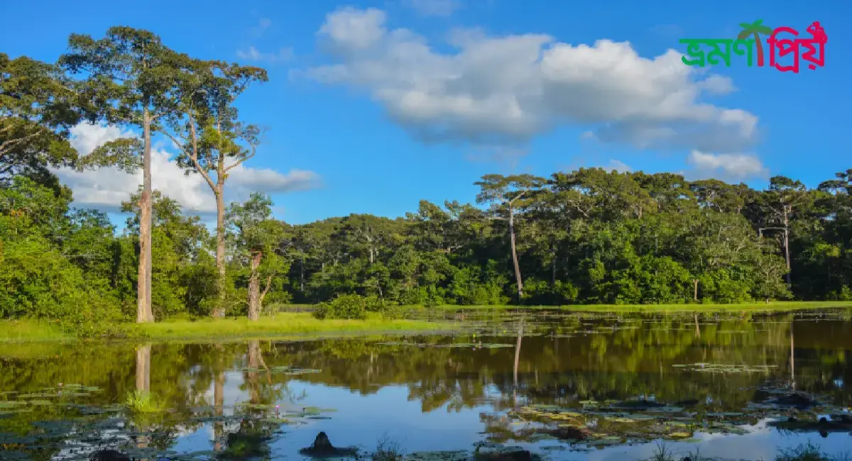ডুলাহাজারা সাফারি পার্ক কিভাবে যাবেন, আসা-যাওয়ার সকল খরচ