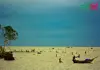 চর আলেকজান্ডার