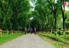 বোটানিক্যাল গার্ডেন
