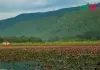 ডিবির হাওর