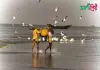 দুবলার চর