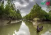 ফাতরার চর